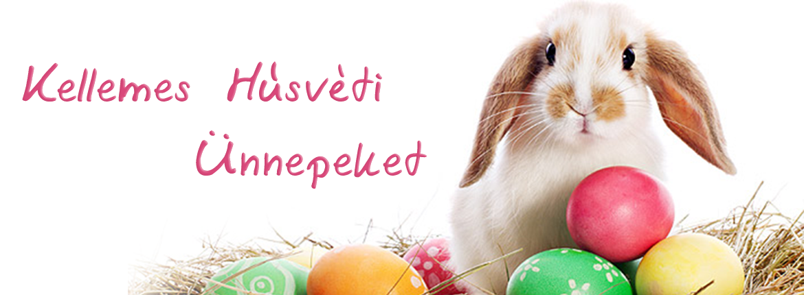husvet_szte_fok_kezdo